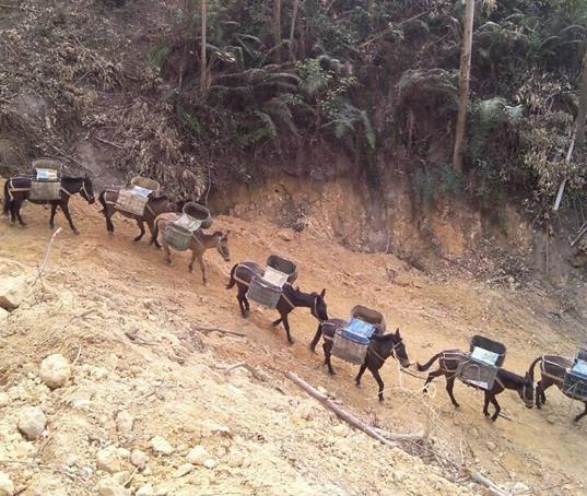 深圳山路马帮运输