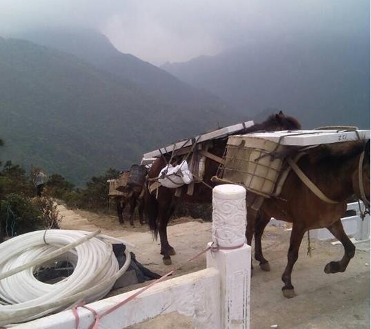 深圳山区马帮运输