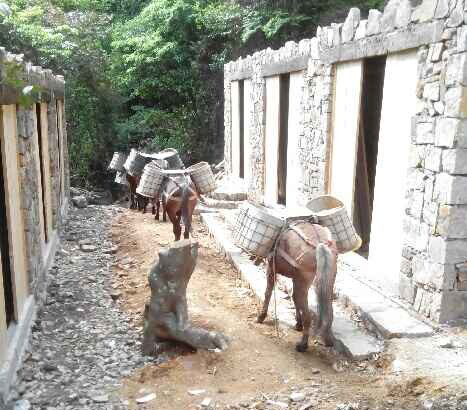 深圳马队运输队