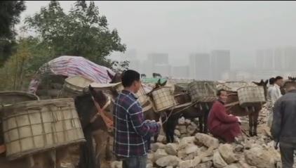 深圳骡马山区运输