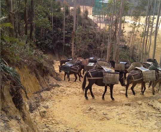 深圳马帮山路运输