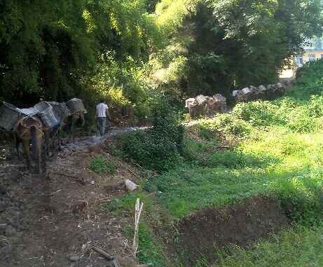 深圳马帮运输队