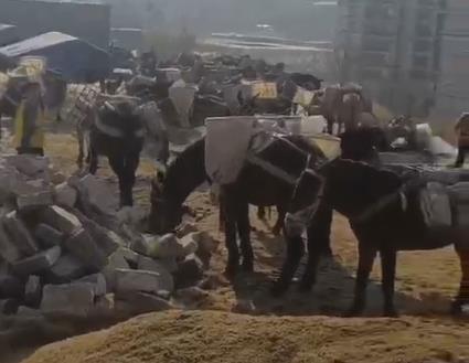 深圳马队山路运输